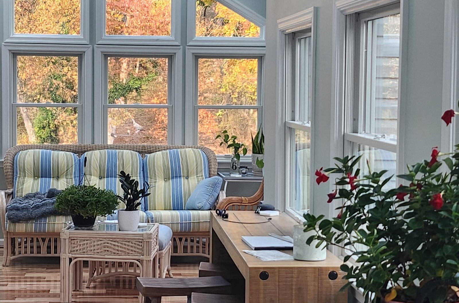 Sunroom Addition by RARA Designz